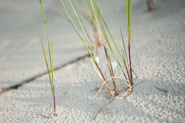 Ostsee