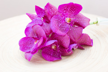Fototapeta na wymiar Orchids vanda on wooden plate