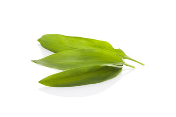 Fototapeta premium Wild garlic isolated on white background.