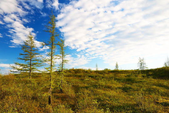 Beautiful landscape in Taimyr, Russia