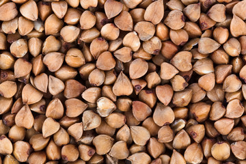 Buckwheat background