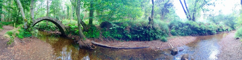 r&ouml;mer br&uuml;cke