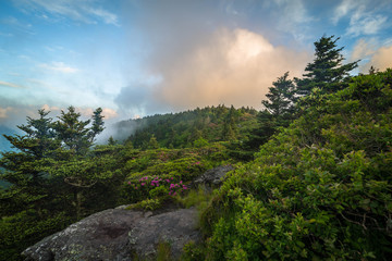 A beautiful and colorful spring morning on Grassy Ridge in the Roan Highlands on the border of Tennessee and North Carolina along the Appalachian Trail.