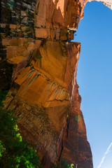 looking up at the back wall of the upper emerald pools at Zion National Park. With hanging gardens and various foliage.