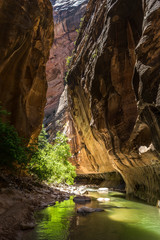 The Narrows