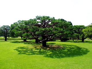 浜離宮恩賜公園