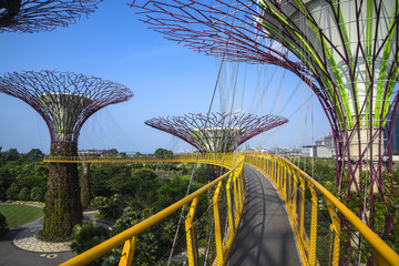 Fototapeta premium Singapore