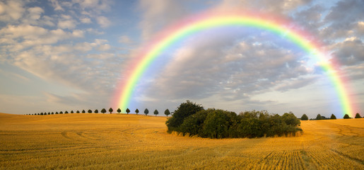colorful rainbow over the field 