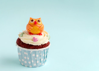 Owl cupcake on blue background