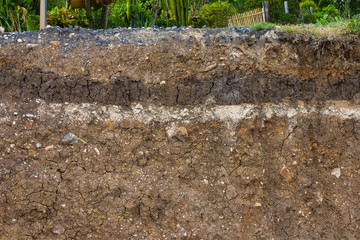 Soil under the road