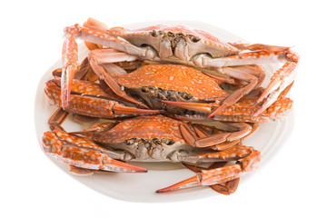 steamed crab for seafood