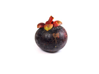 Mangosteen - Tropical Fruits Mangosteen on white background