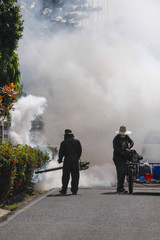 Mosquito control in Thailand in sunny day light