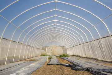 Greenhouses growing vegetables on background sky outdoors