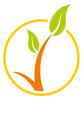 CREATION ET CONCEPTION