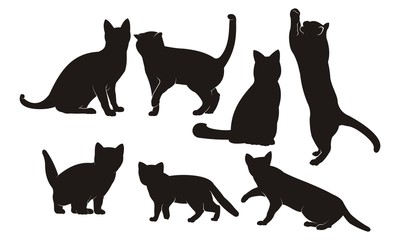 Set vector silhouettes of the cat, different poses, standing, jumping and sitting, black color, isolated on white background
