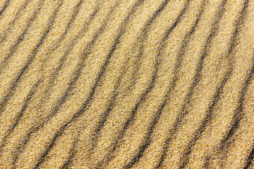 Fototapeta na wymiar sand on the dunes