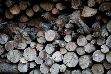 Wood, lumber, timber, tree