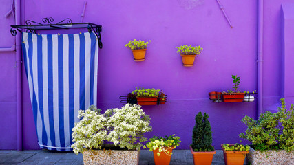 Burano purple wall color house