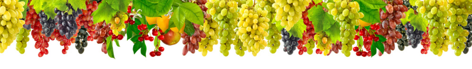 many grapes