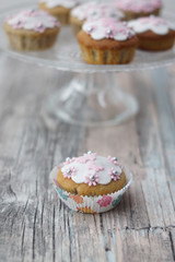 Cupcakes con pasta di zucchero bianca e rosa