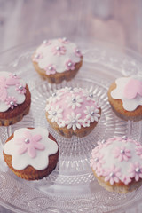 Cupcakes con pasta di zucchero bianca e rosa
