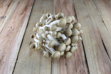 Brown shimeji Mushrooms.