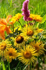 Glückwunschkarte - Sommerblumen 