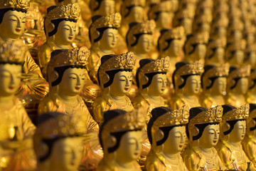 Buddhas of Bongeunsa Temple (奉恩寺ブッダ像) in Seoul, Korea 