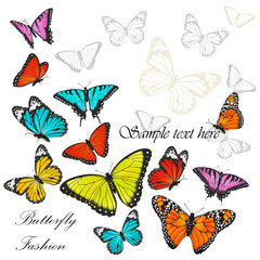 Obraz na płótnie Canvas Background with colorful butterflies vector illustration