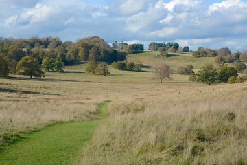 Fototapeta na wymiar English parkland landscape