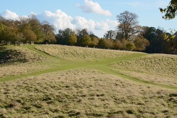 Crossroad in grass tracks