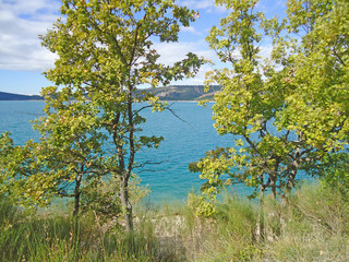lake behind trees in France