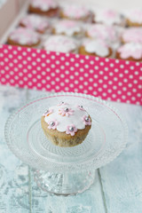 Cupcakes con pasta di zucchero bianca e rosa