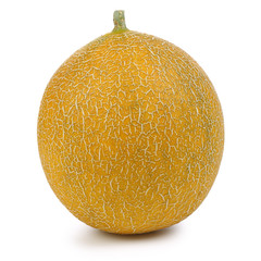Melon