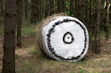 Target