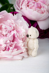 Teddy bear and peony