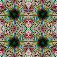 Abstract kaleidoscopic pattern.