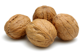Walnut