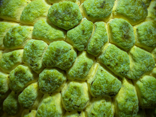 skin of custard apple