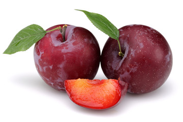 Red Plum
