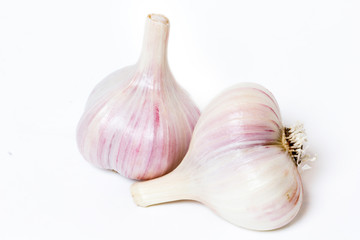 Fresh garlic on white background 