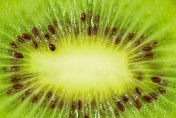 Sliced kiwi fruit close up