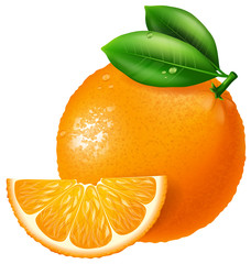 Orange illustration.