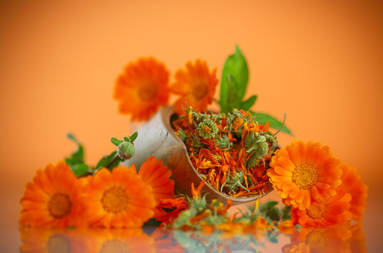 Dried Calendula