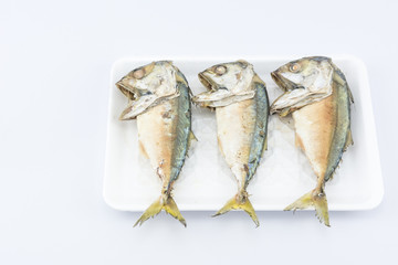 mackerel in a foam tray