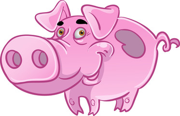 Funny pink pig