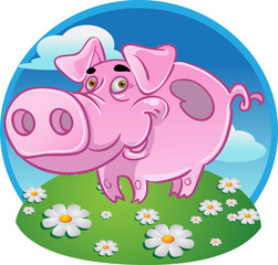 Funny pink pig on color background