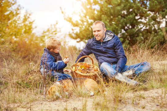 Father and son with full basket of mushrooms rest  in forest