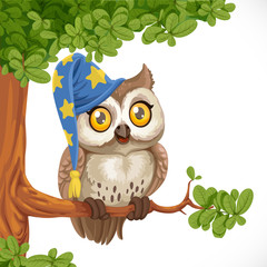 Cute owl wearing a hat sitting on a tree branch isolated on a wh